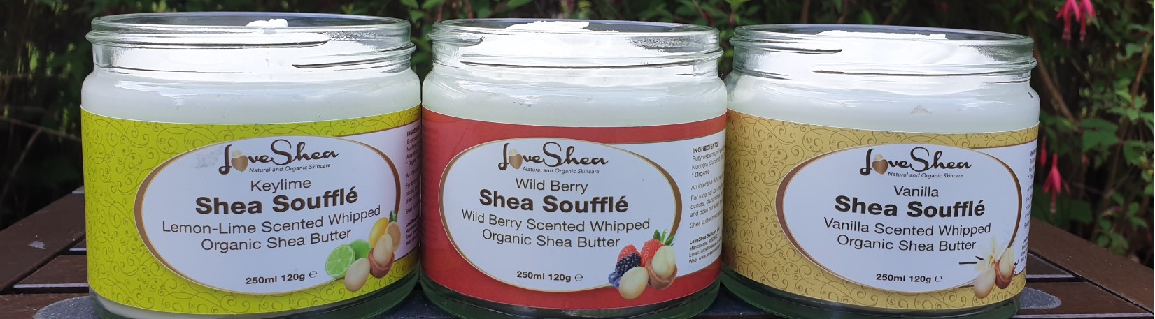 Love Shea